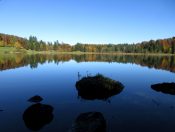 Herrliche Wanderweg auf Ufer vom Laudachsee