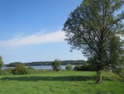 Blick auf den Abtsee vom Südufer