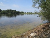 Der Abtsdorfer See lädt zum Baden ein