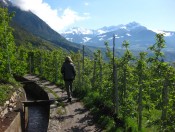 Algunder Waalweg - Blick auf die Bergwelt