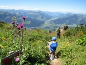 Herrlicher Wanderweg durch den Alpenblumengarten
