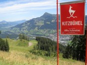 Die Alte Schneise mit dem Kitzbüheler Horn