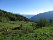 Blick zurück auf die Amoser Hochalm und die Peterbaueralm