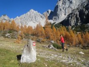 Herrliches wandern nahe der Bachlalm