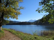 Hintersee im Berchtesgadener Land