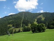 Von Zaglau geht es über schöne Wanderwege und Forststraßen auf den Bischling