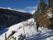 Blick  auf den Breitfeldkogel (Kalkbretterkopf)