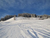 Am Sonnenhang beim Gasthof Bürglhöh