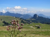 Wir blicken auf die Loferer Almen mit dem Dietrichshorn