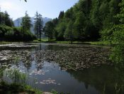 Blick über den Egelsee bei Golling