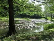 Der Jungbrunnenweg am Egelsee ladet zum Spazieren und Wandern ein