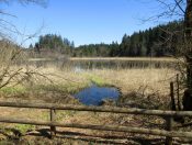 Das Naturparadies Egelsee wartet auf den Besucher um erkundet zu werden.