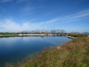 Der Ehrenbachhöhe See mit dem Wilden Kaiser