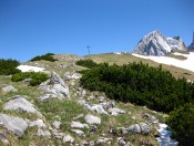 Ein gewaltiges Panorama genießt man vom Gipfel des Eiskarschneids auf den Gosaukamm und de Dachstein