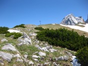 Der Eiskarlschneid Rücken