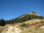 Der Faistenauer Schafberg in den Salzkammergut Bergen