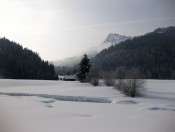 Der Faistenauer Schafberg ist uns ein Wegbegleiter