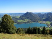 Überraschend schöner Ausblick vom Filbling auf den Fuschlsee und den Schober