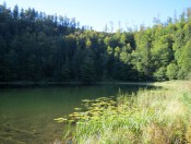 Der Filblingsee ist eingebettet in einem Bergkessel