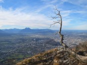 Der Gaisberg bietet unzählige Wanderwege