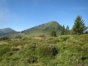 Blick auf den Gampenkogel