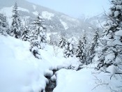 Der Neuschnee läßt unser Sportlerherz höher schlagen