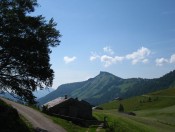 Auf der Genneralm genießen wir den Fernblick