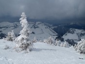 Blick auf die Genneralm und das Gennerhorn