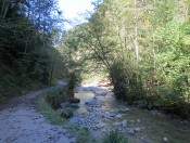 Wandern durch die Glasenbachklamm