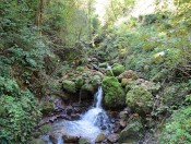 Einer der vielen Zuflüsse zum Klausbach in der Glasenbachklamm