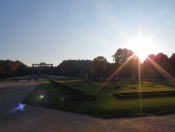 Blick Richtung Gloriette im Schönbrunner Park