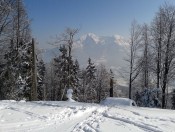 Blick auf den Hohen Göll