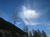 Herrliche Landschaft auf dem Weg zur Gotzenalm am Königssee