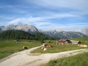 Blick auf die Gotzenalm mit dem Steinernen Meer im Hintergrund