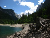 Das Seeufer am Gosausee