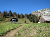 Auf der Grabneralm befindet sich das gleichnamige Grabneralmhaus