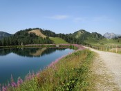 Wandererlebnisse für Jung und Alt am Grafenberg in Wagrain