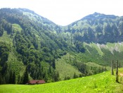 Die Gruberalm mit dem Gruberhorn