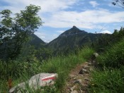 Blick auf das benachbarte Gruberhorn