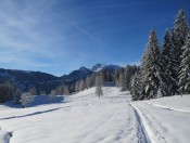 Auf dem Hahnbaum bei St. Johann