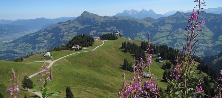 Panoramaweg am Hahenkamm in den Kitzbüheler Alpen