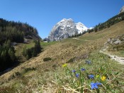 Der Frühling zeigt seine ersten Vorboten - Herrlicher Blick zur Halsalm