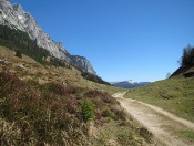 Weit in der Ferne erblicken wir den markanten Berchtesgadener Hochthron