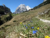 Wandern auf die Halsalm im Berchtesgadener Land