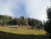 Wir erreichen auf breiten Forstwegen die Handalm