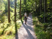 Gute Forstwege führen zur Blaueishütte und dem Blaueisgletscher