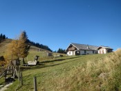 Die Hochwiesalm befindet sich am Sattel zwischen Loibersbacher Höhe und dem Faistenauer Schafberg