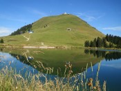 Wandertour auf die Hohe Salve in den Kitzbüheler Alpen