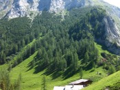 Hohes Brett und Mitterkaiser Alm