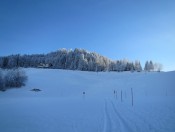 Das Hotel Hahnbaum befindet sich gleich neben der Bergstation